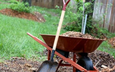 Mulching in the Fall