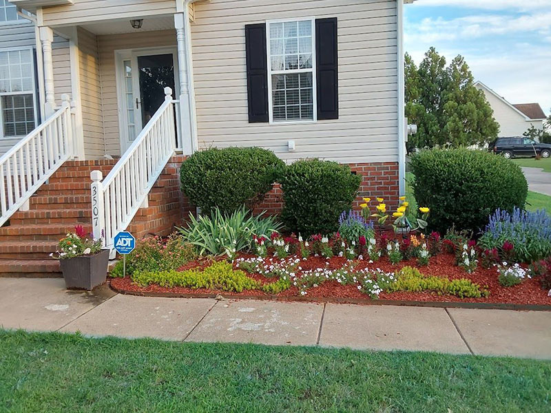 Photo of landscaped yard around house front exterior