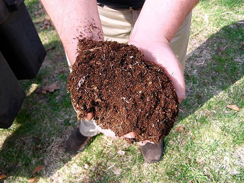 Photo of someone holding a handful of soil