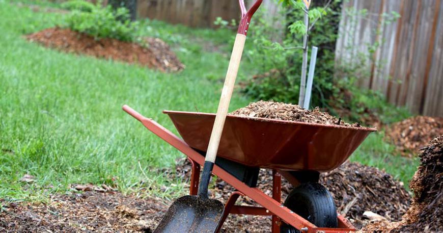 Photo of a wheel barrow full of mulch