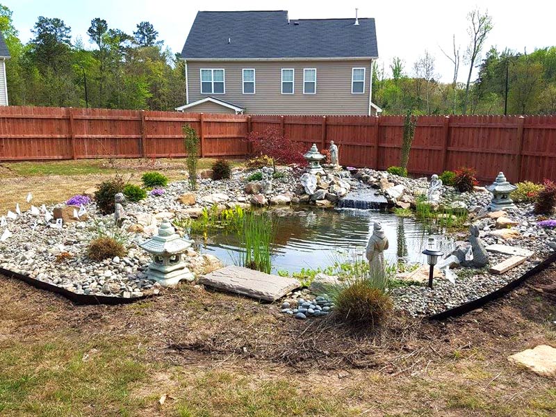 Photo of pond with plants and river rock surrounding