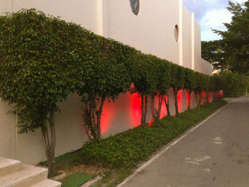 Photo of red outdoor lighting behind shrubs